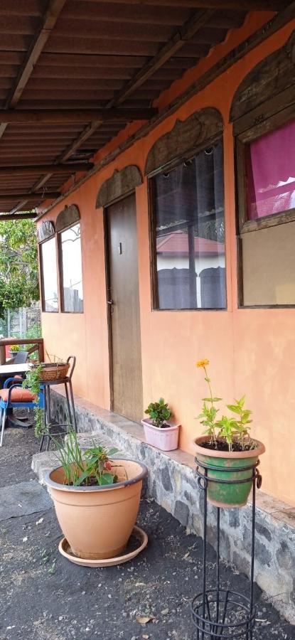 Las Manchas  B&B Amigos De La Naturaleza חדר תמונה