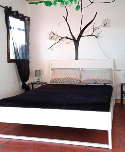 Las Manchas  B&B Amigos De La Naturaleza מראה חיצוני תמונה