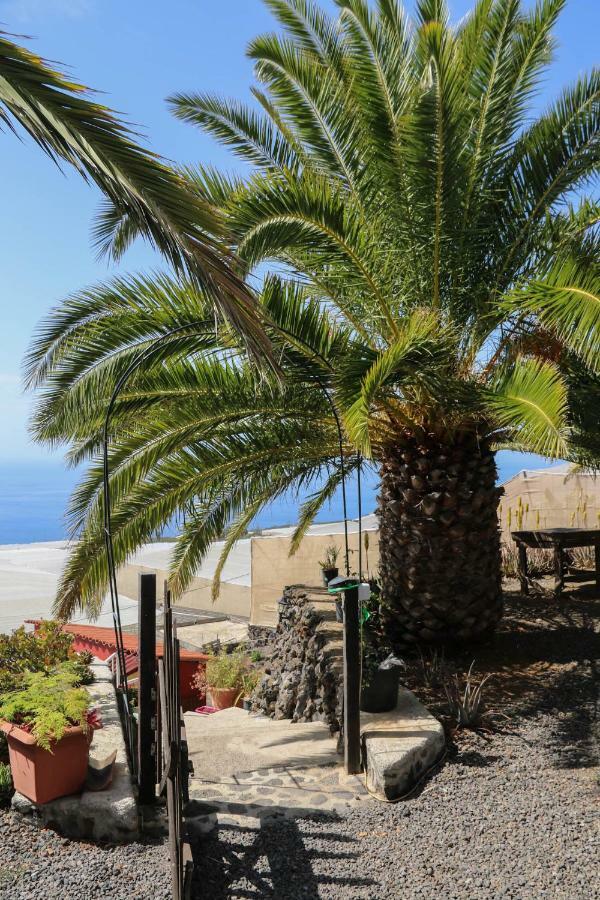 Las Manchas  B&B Amigos De La Naturaleza מראה חיצוני תמונה
